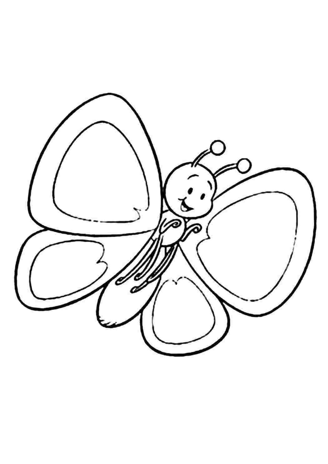 Раскраска Бабочка