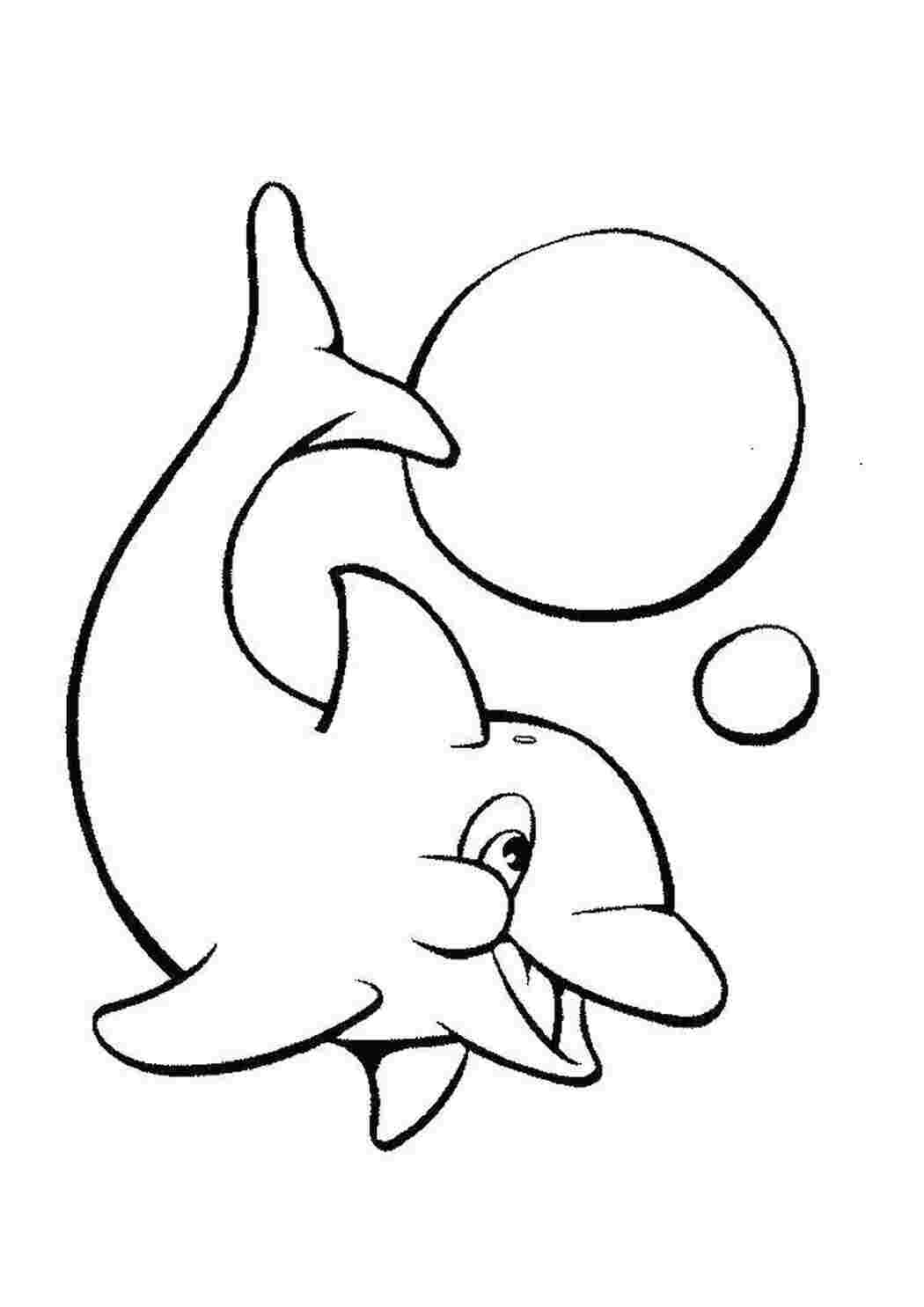 Раскраска Дельфин