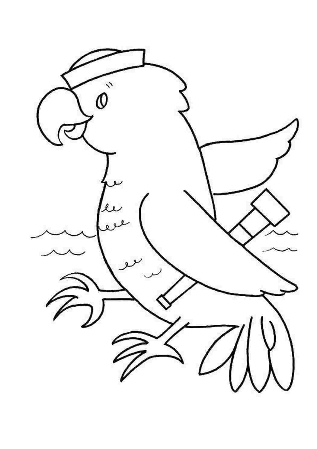 Пиратский попугай раскраска