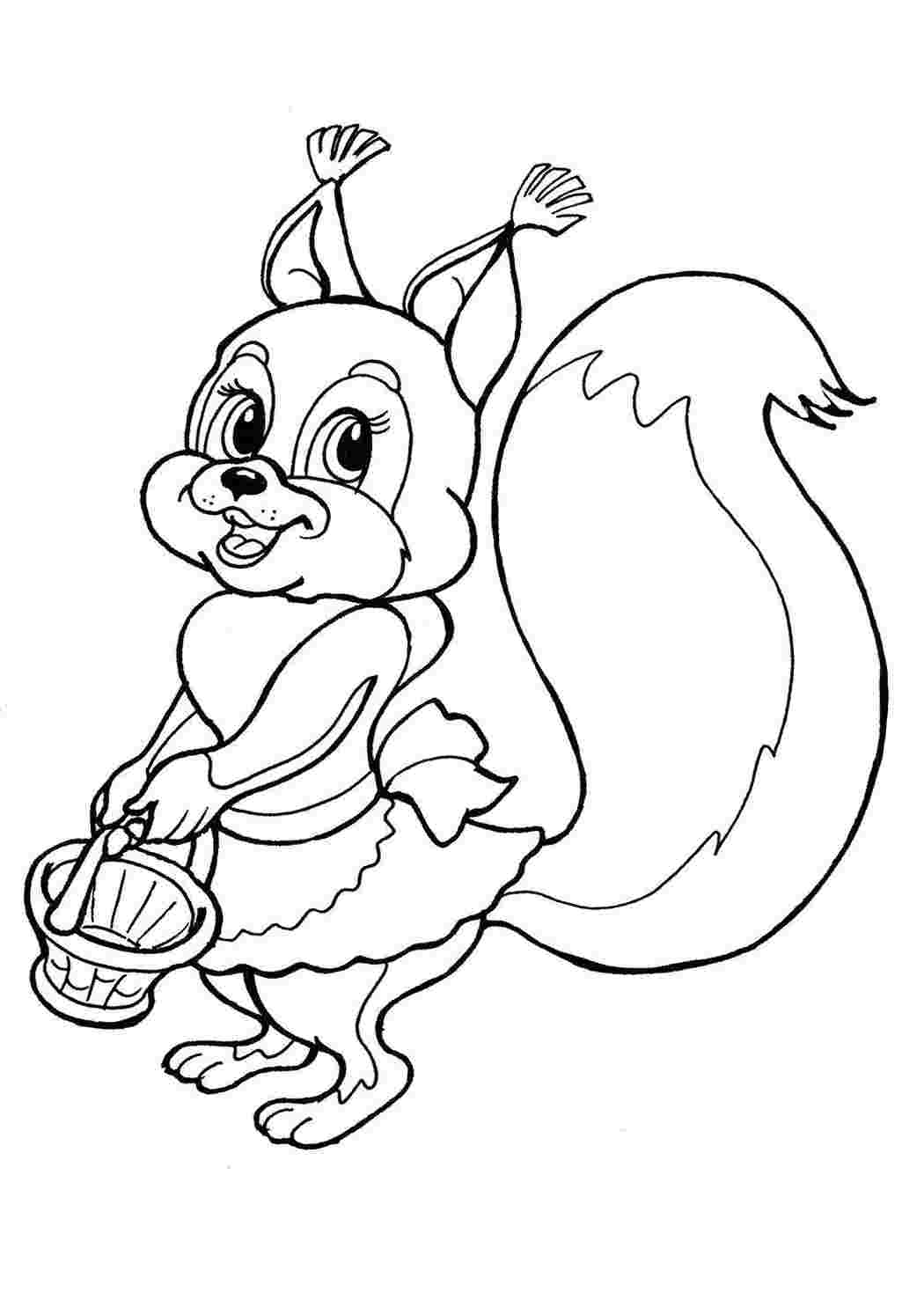 Раскраска Белочка