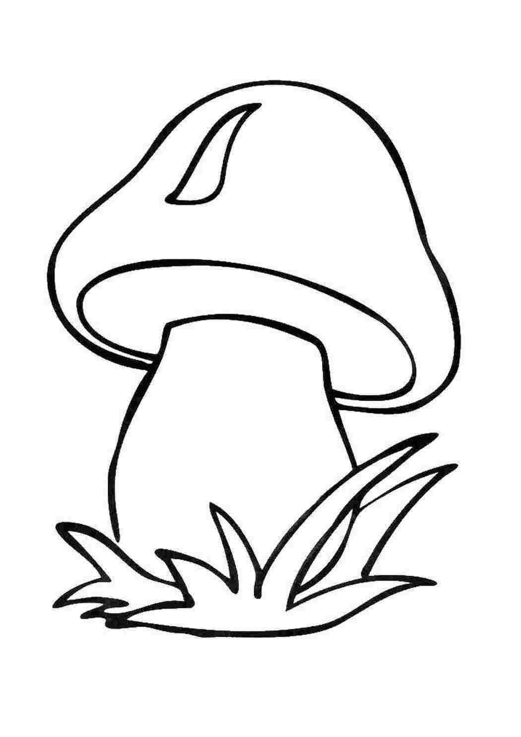 Раскраска Гриб