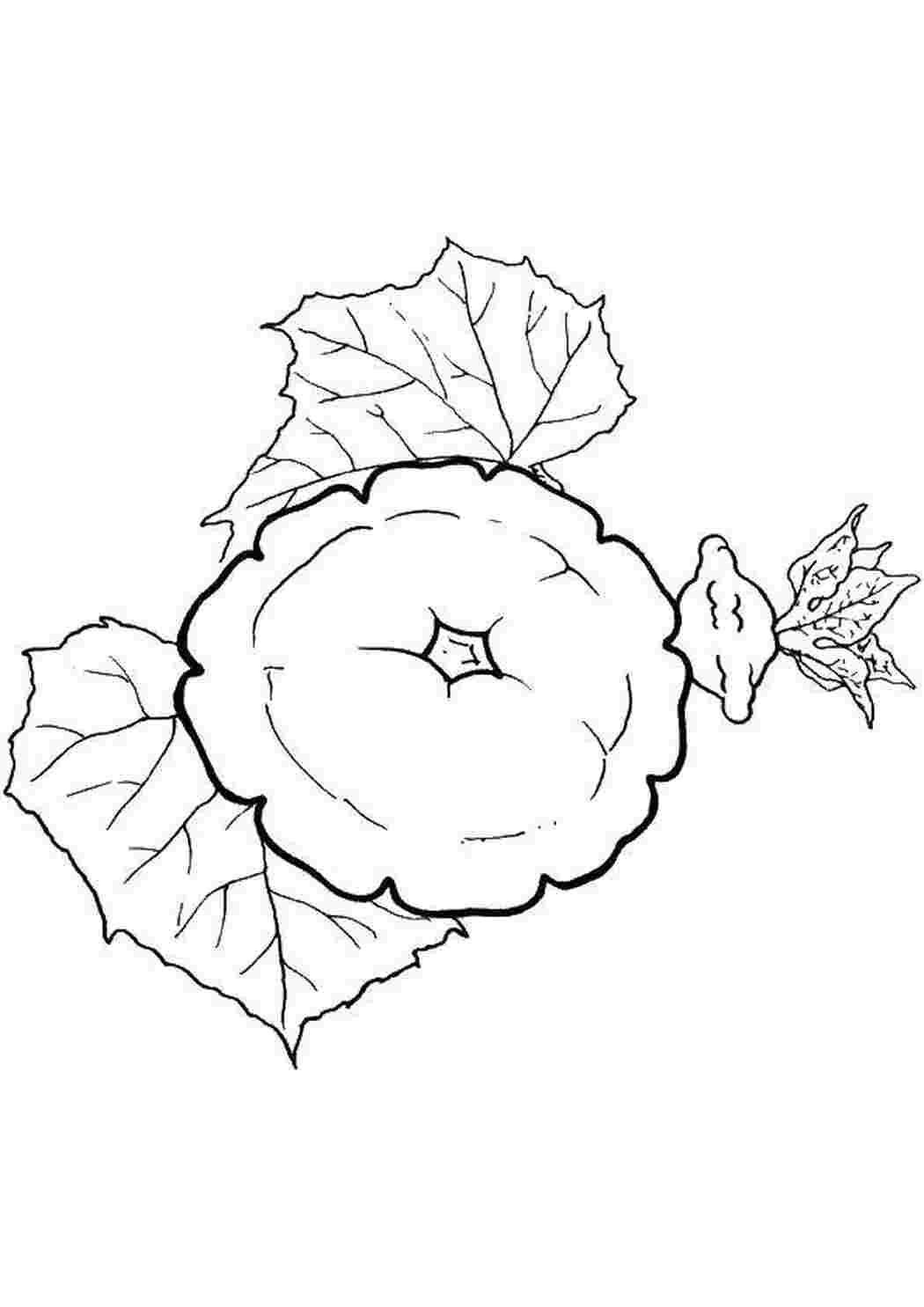 Раскраска Овощи