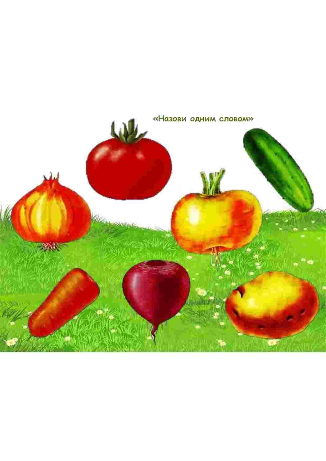 Раскраска назови одним словом для детей