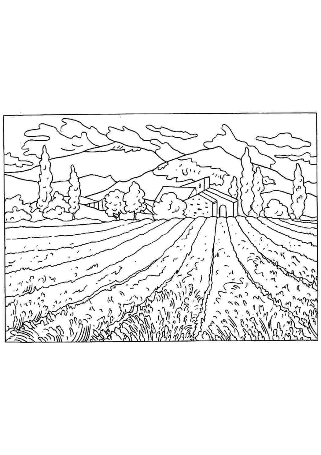 поле раскраска. раскраска пейзаж для детей. пейзаж для раскрашивания детям. раскраска поле. раскраска поле подсолнухов для детей.