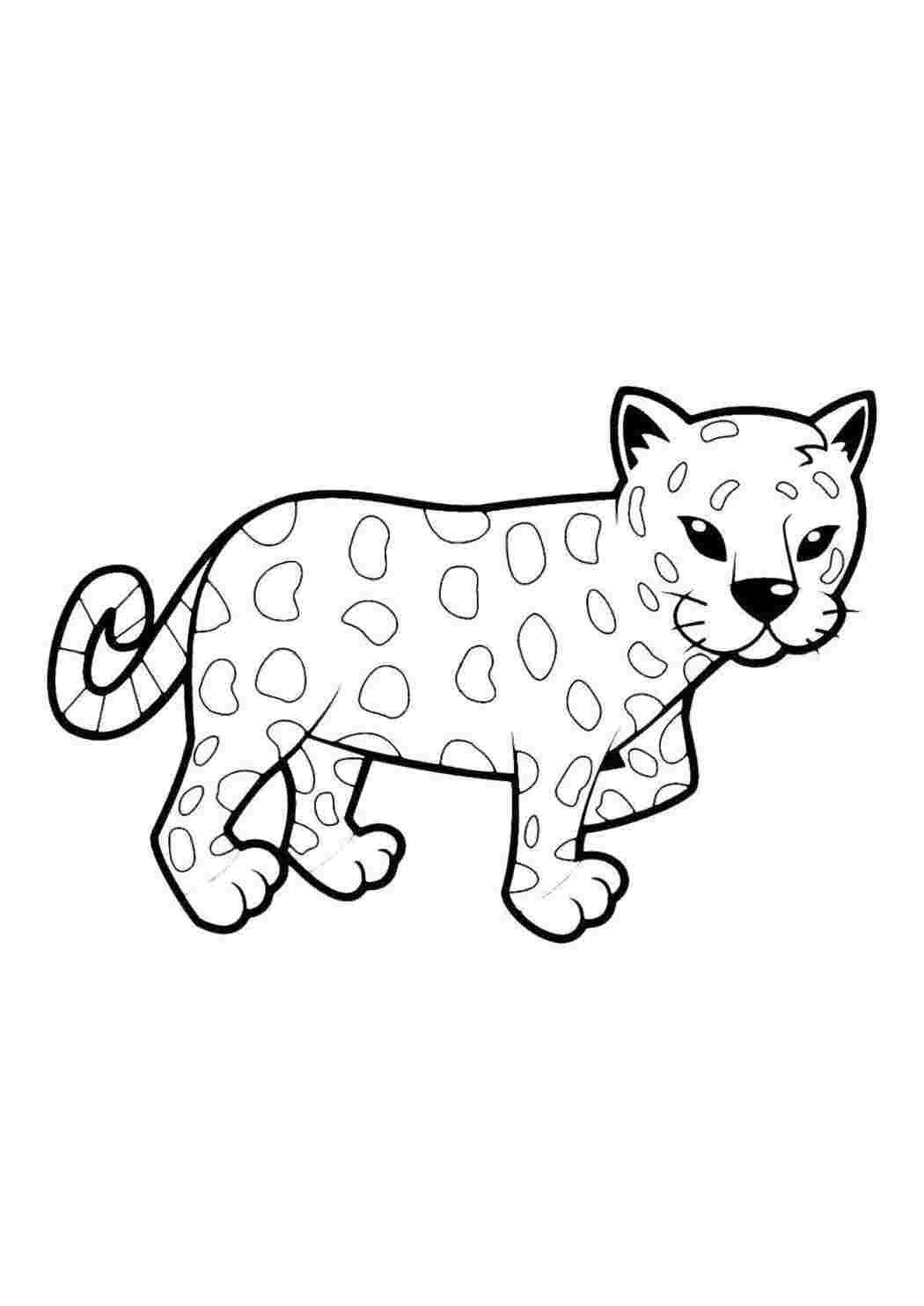Раскраска Леопард