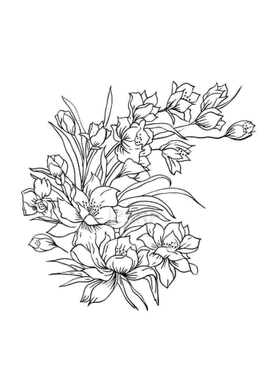 Раскраска Красивые цветы