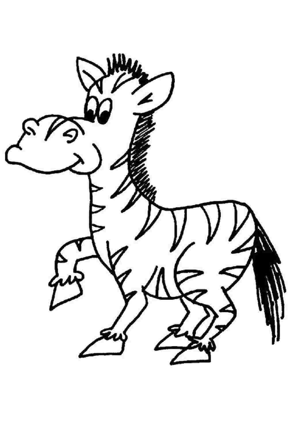 Раскраска Зебра