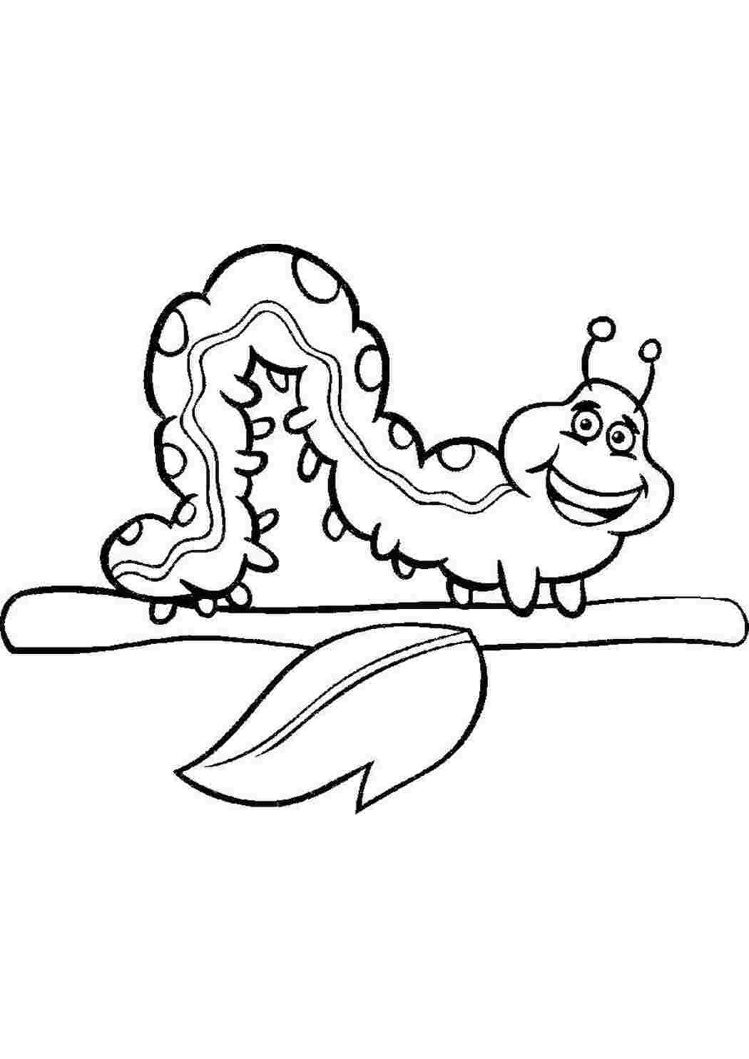 Раскраска Гусеница