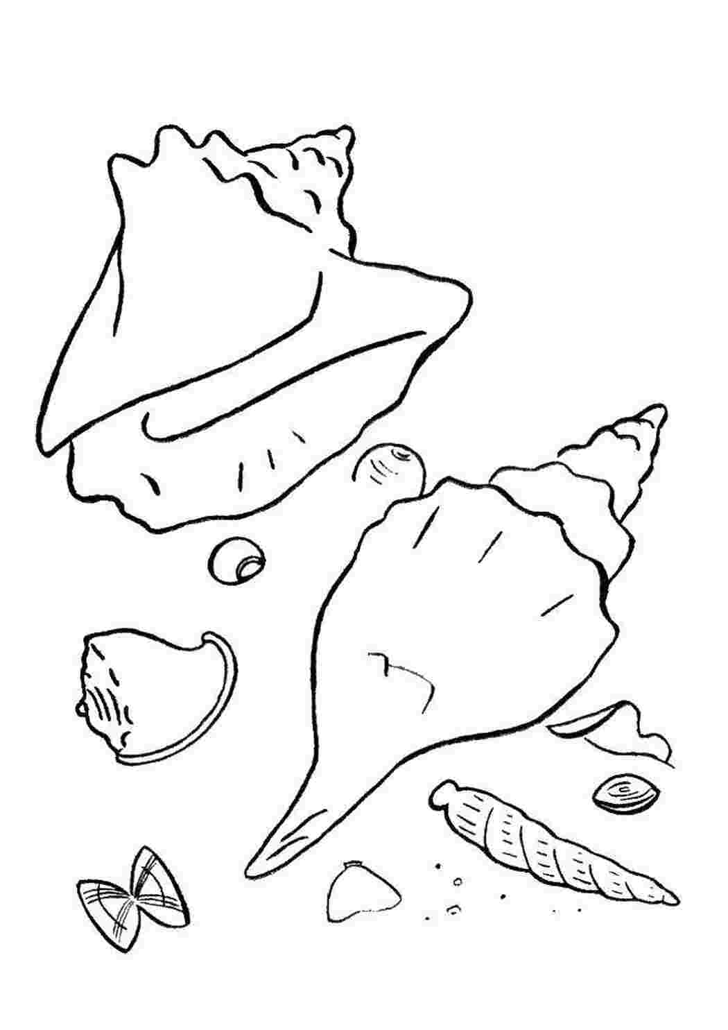 Раскраска Ракуши