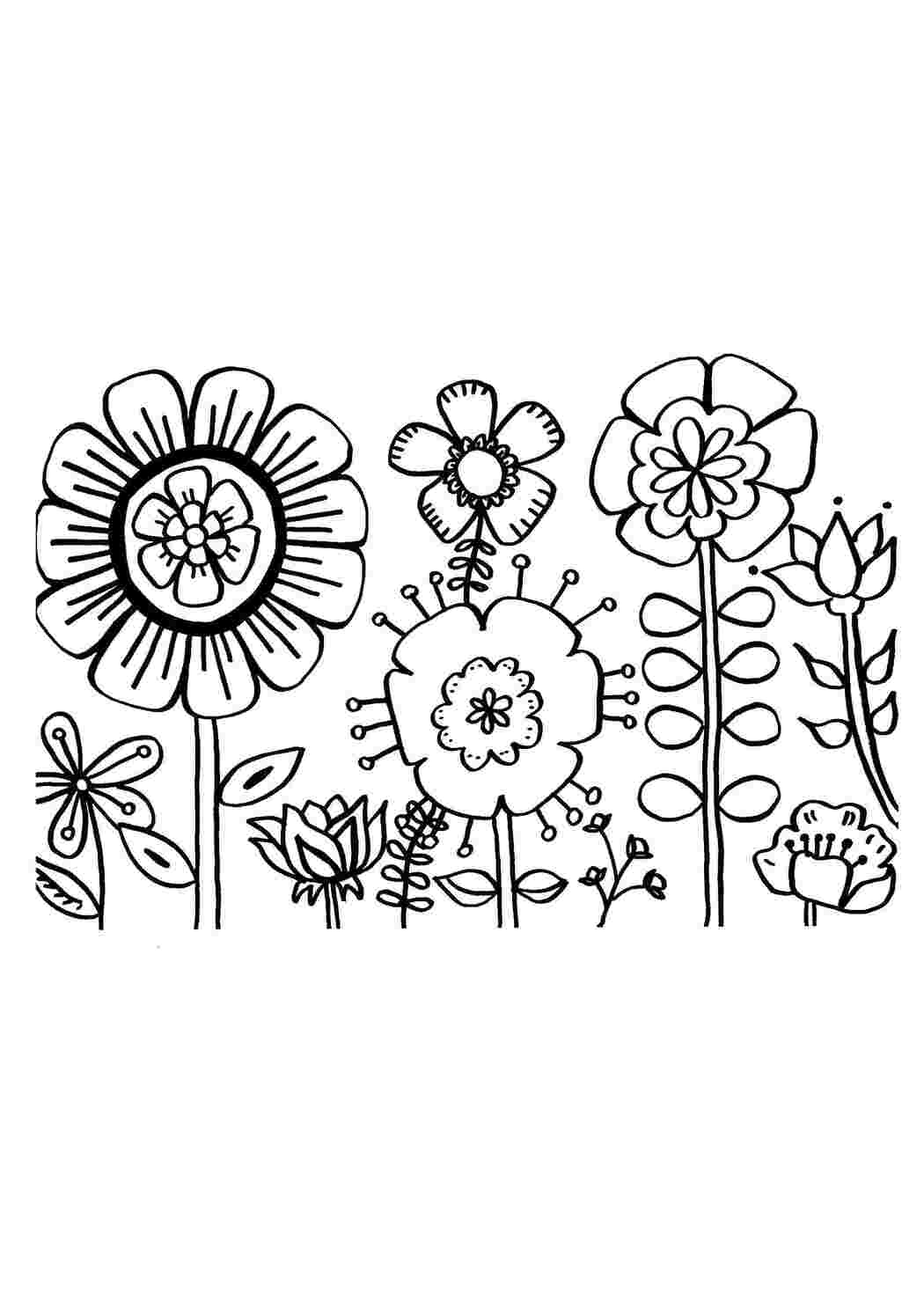 Раскраска Цветы