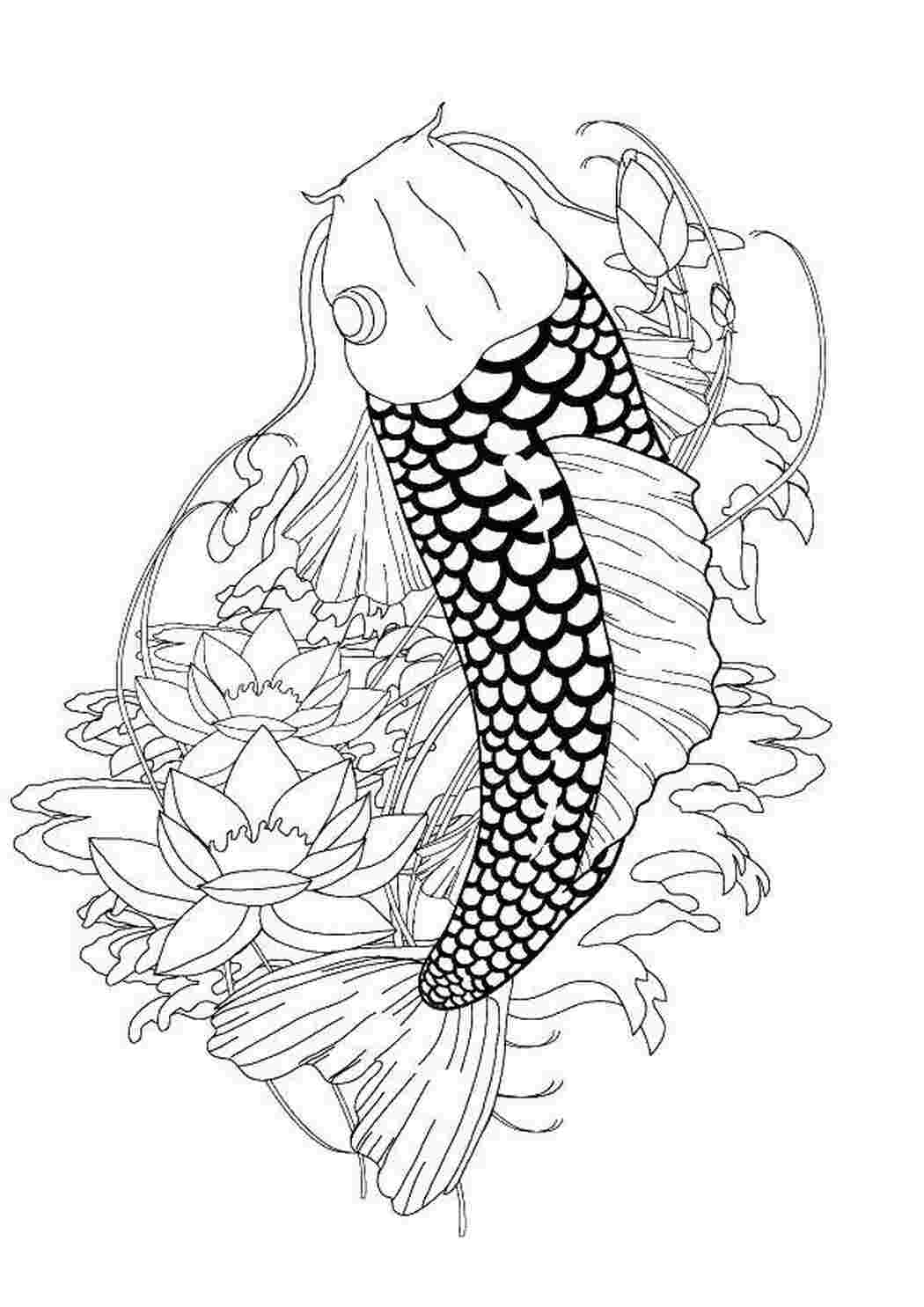 Coy fish coloring pages