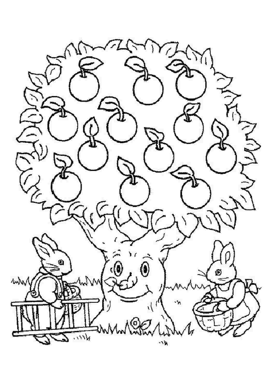 Раскраска яблоня