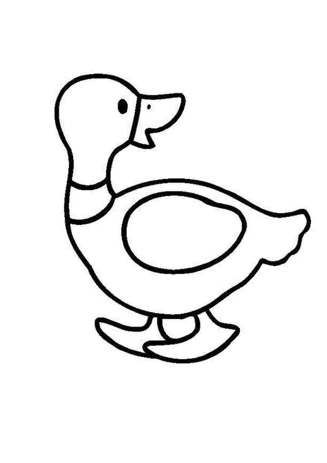 Утка раскраска для детей. Раскраска уточка. Утенок раскраска. Утка раскраска. Раскраска уточка.
