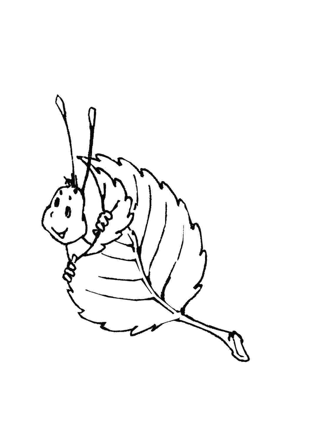 Раскраска Гусеница