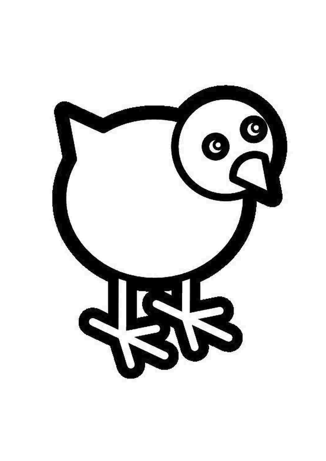 Раскраска Цыпа