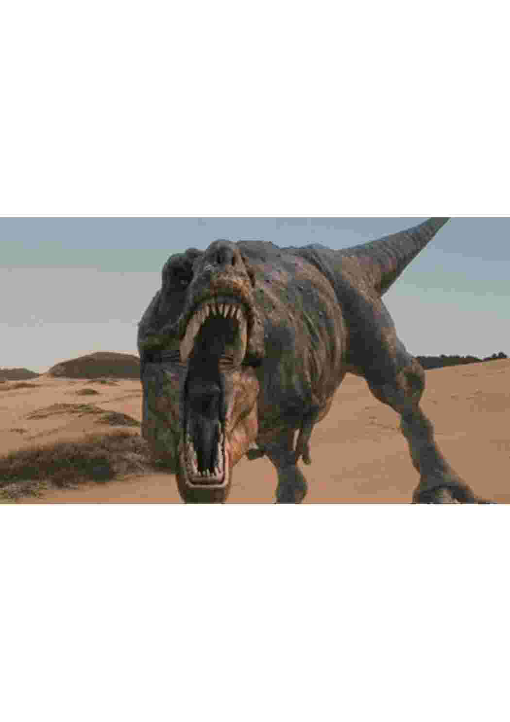 Раскраска динозавры большие разных видов динозавры