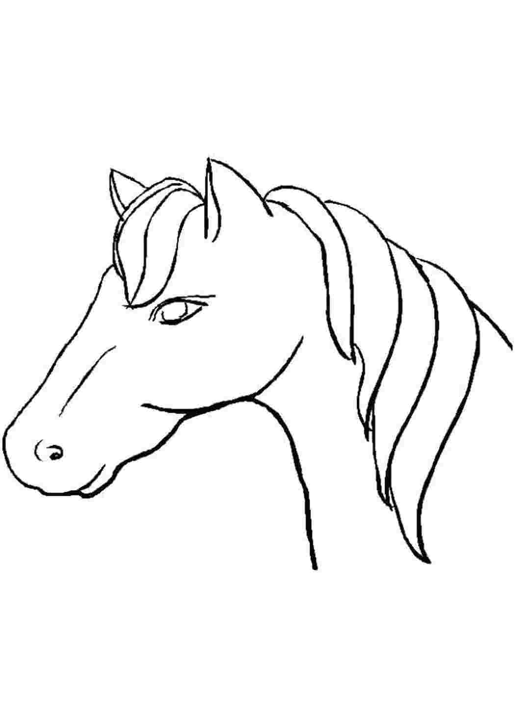 Раскраска Мордашка коня