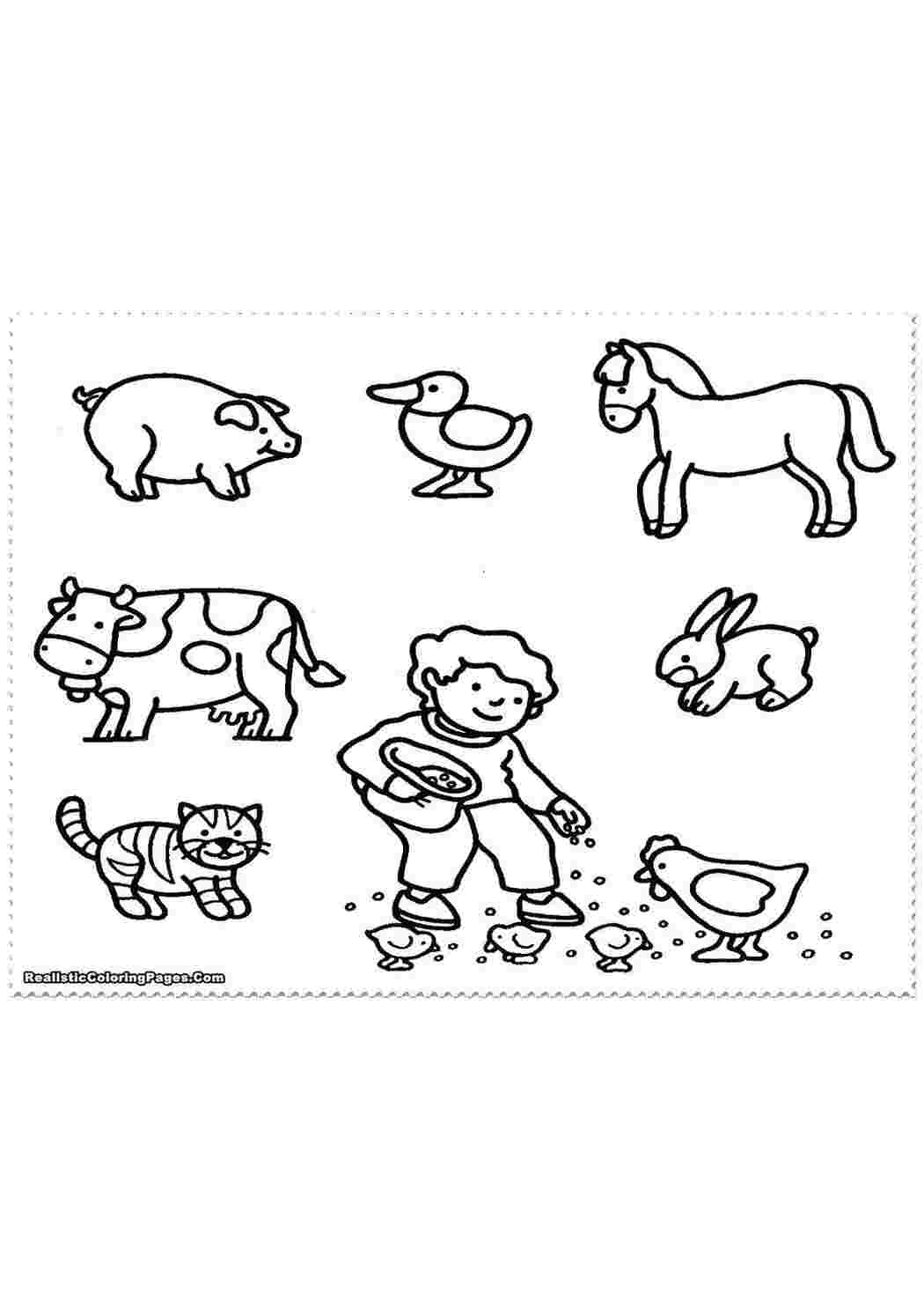 Раскраска Кормим курочек на ферме