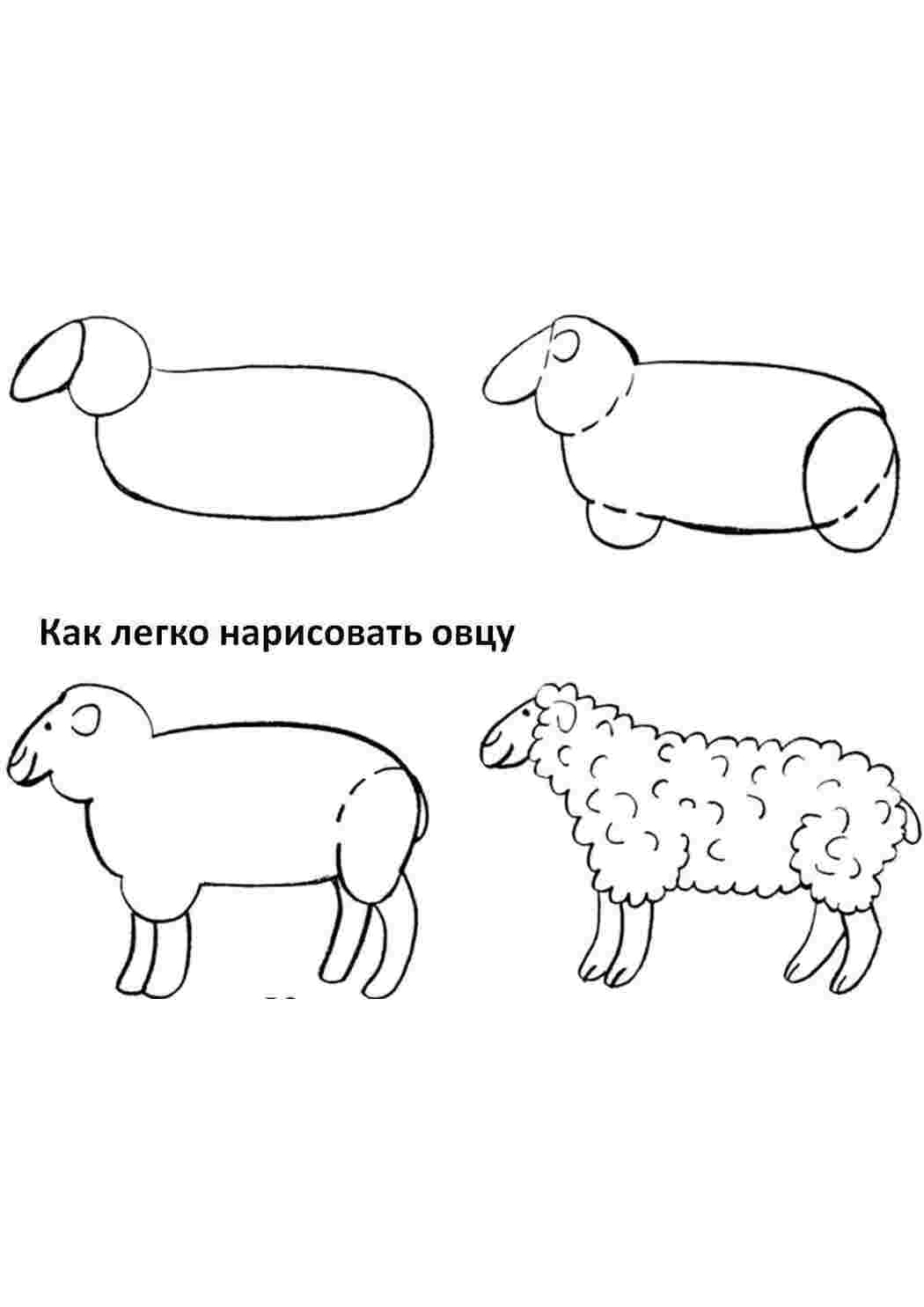 Как нарисовать овечку