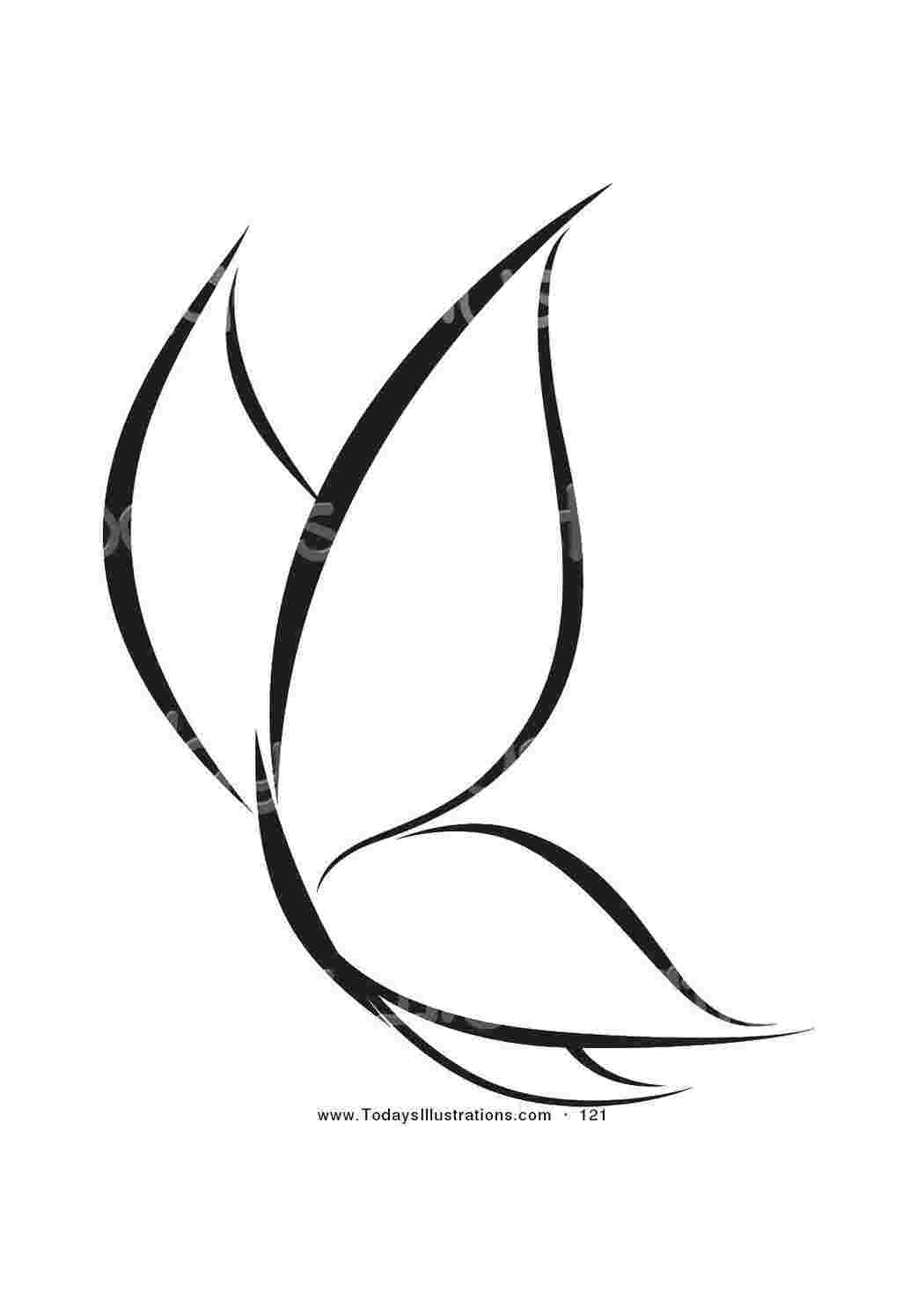 Раскраска Бабочки