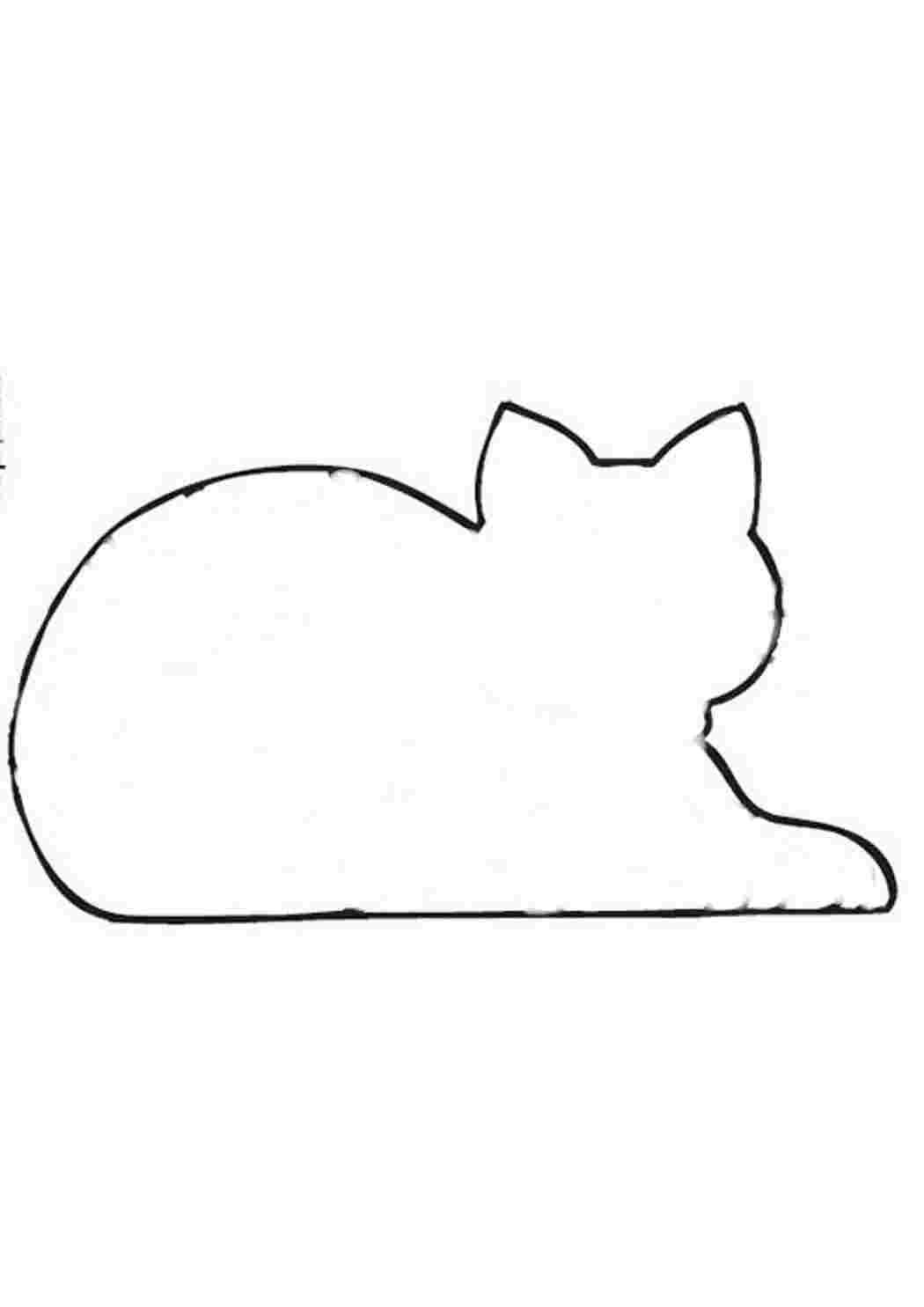 Контур кота