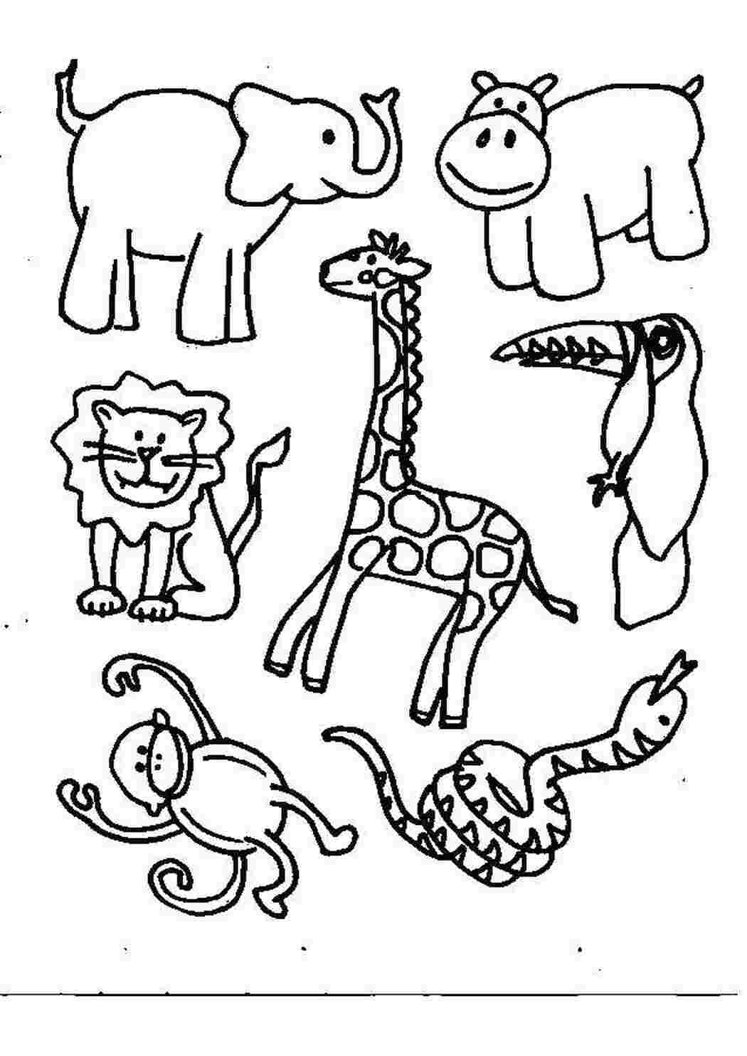 Раскраска Животные