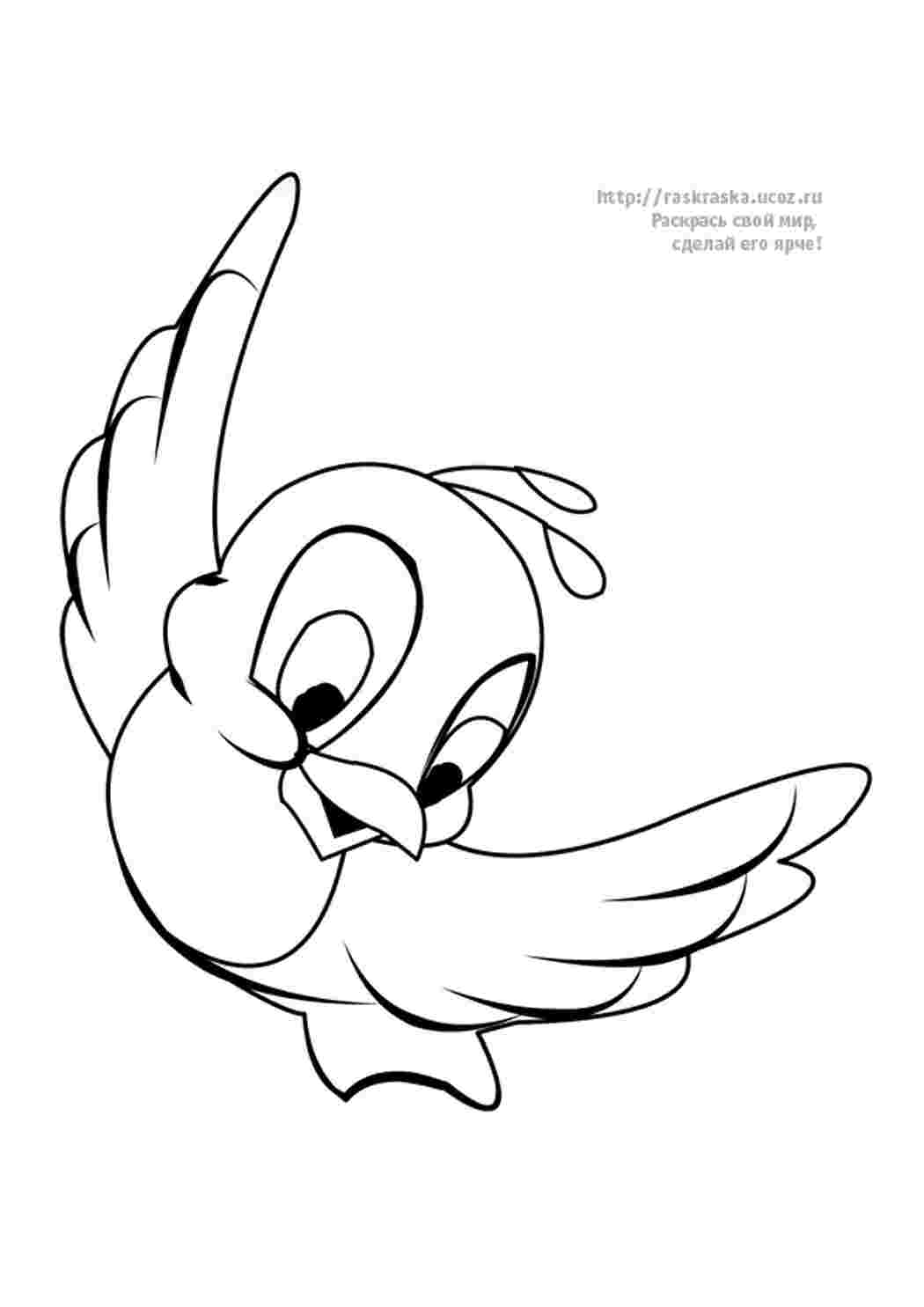 картинки птичек для детей для раскрашивания