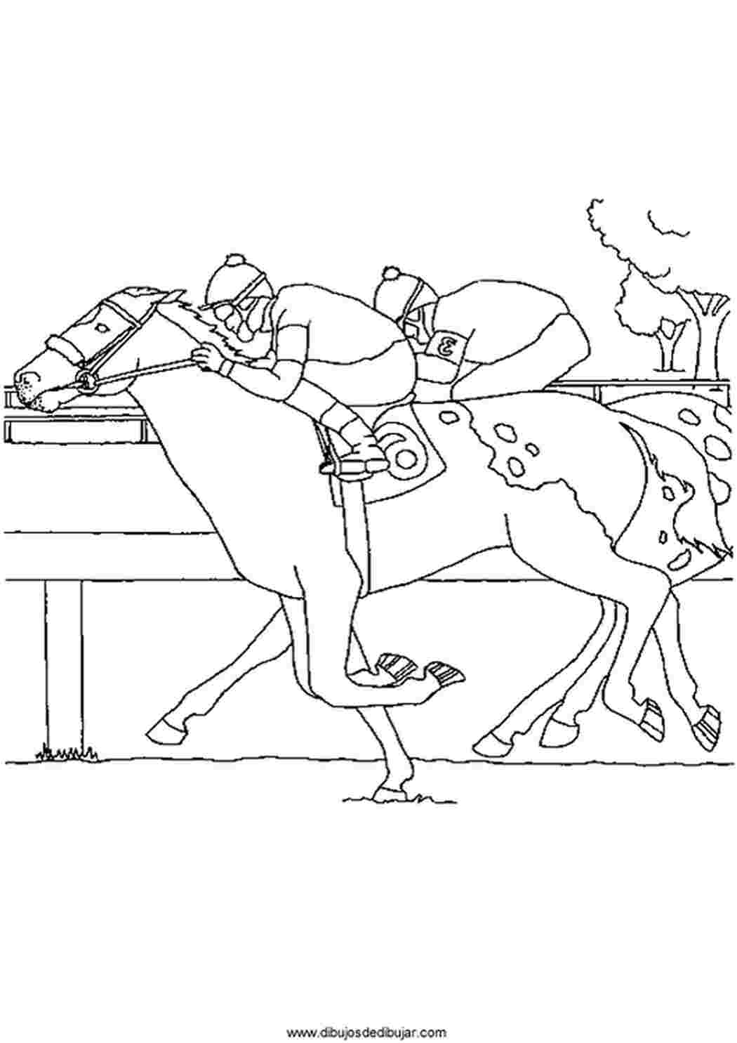 Раскраска соревнования на лошадях