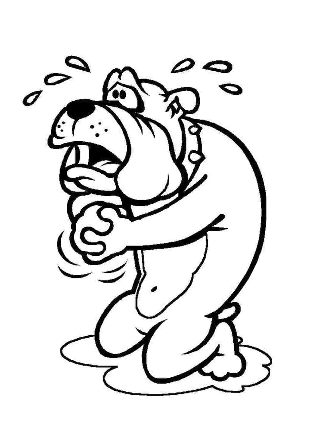 Раскраска Бульдог