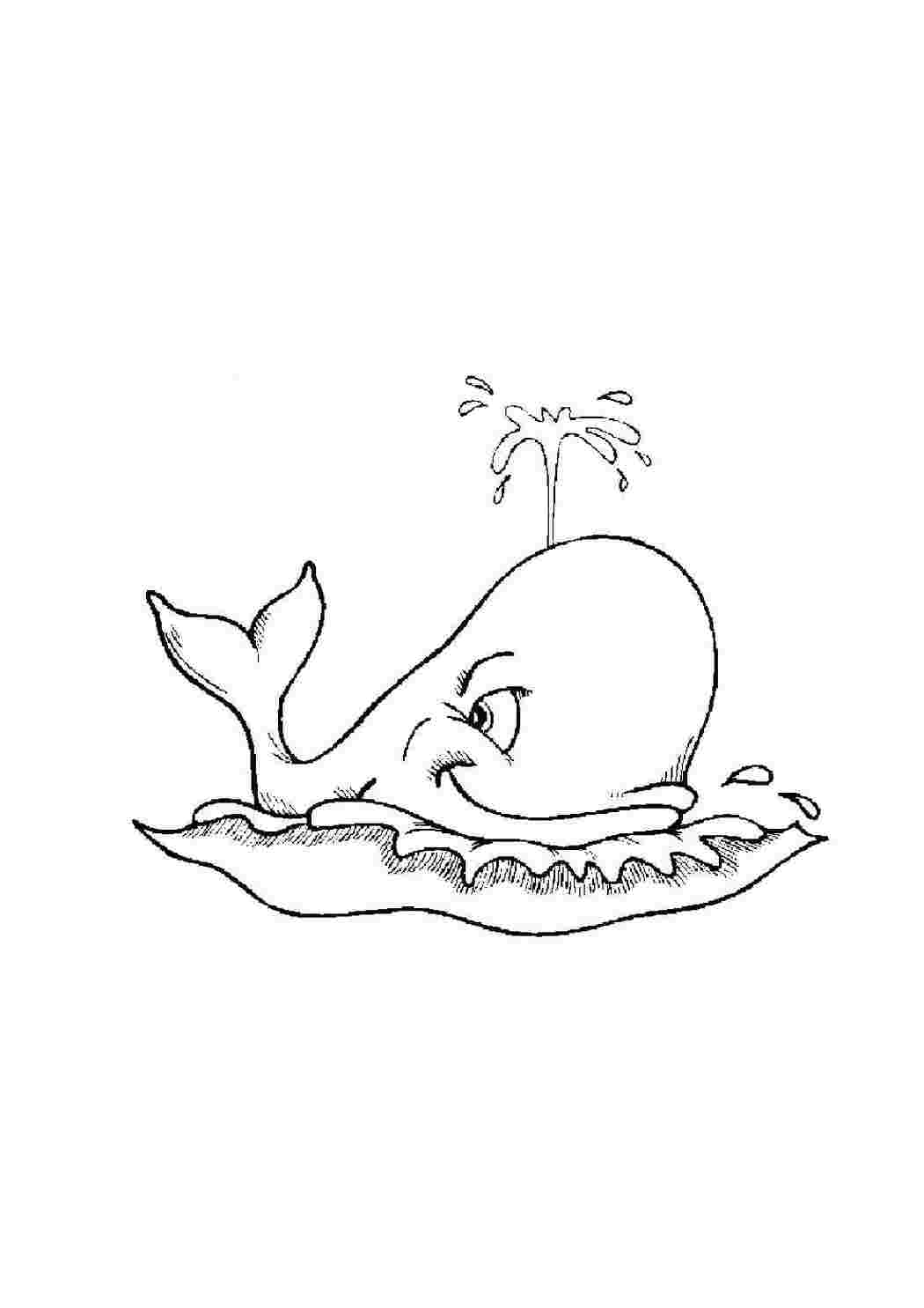 Раскраска кит