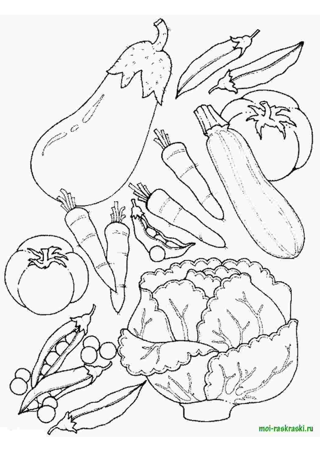 Раскраска Овощи