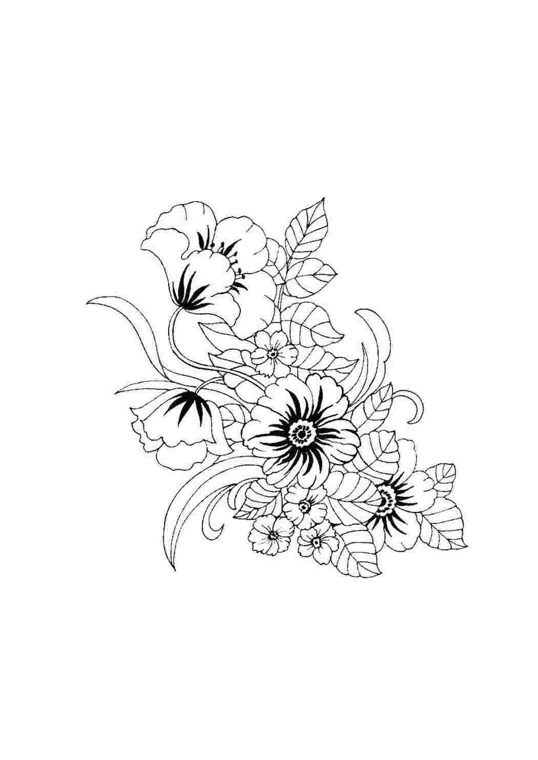 Раскраска Цветы