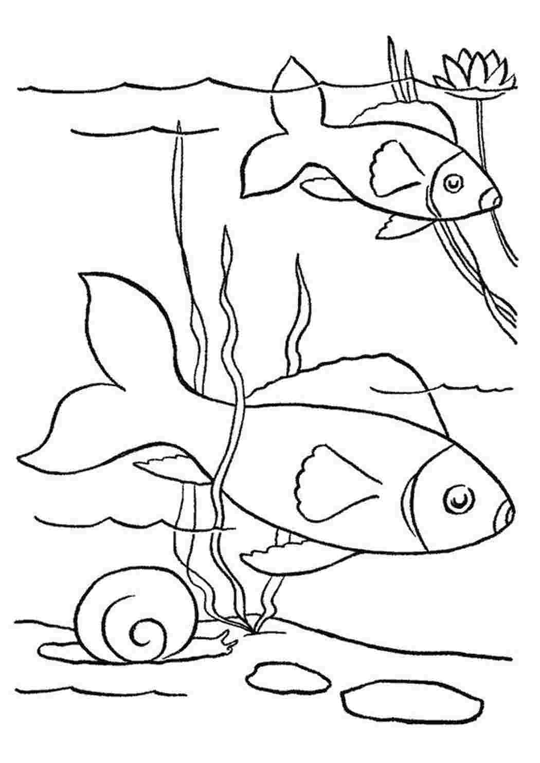 Раскраска Рыбки