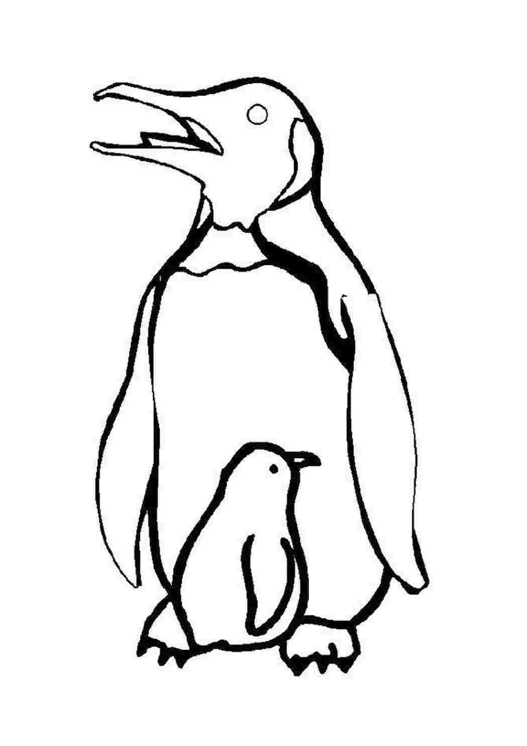 Контур пингвина для раскрашивания