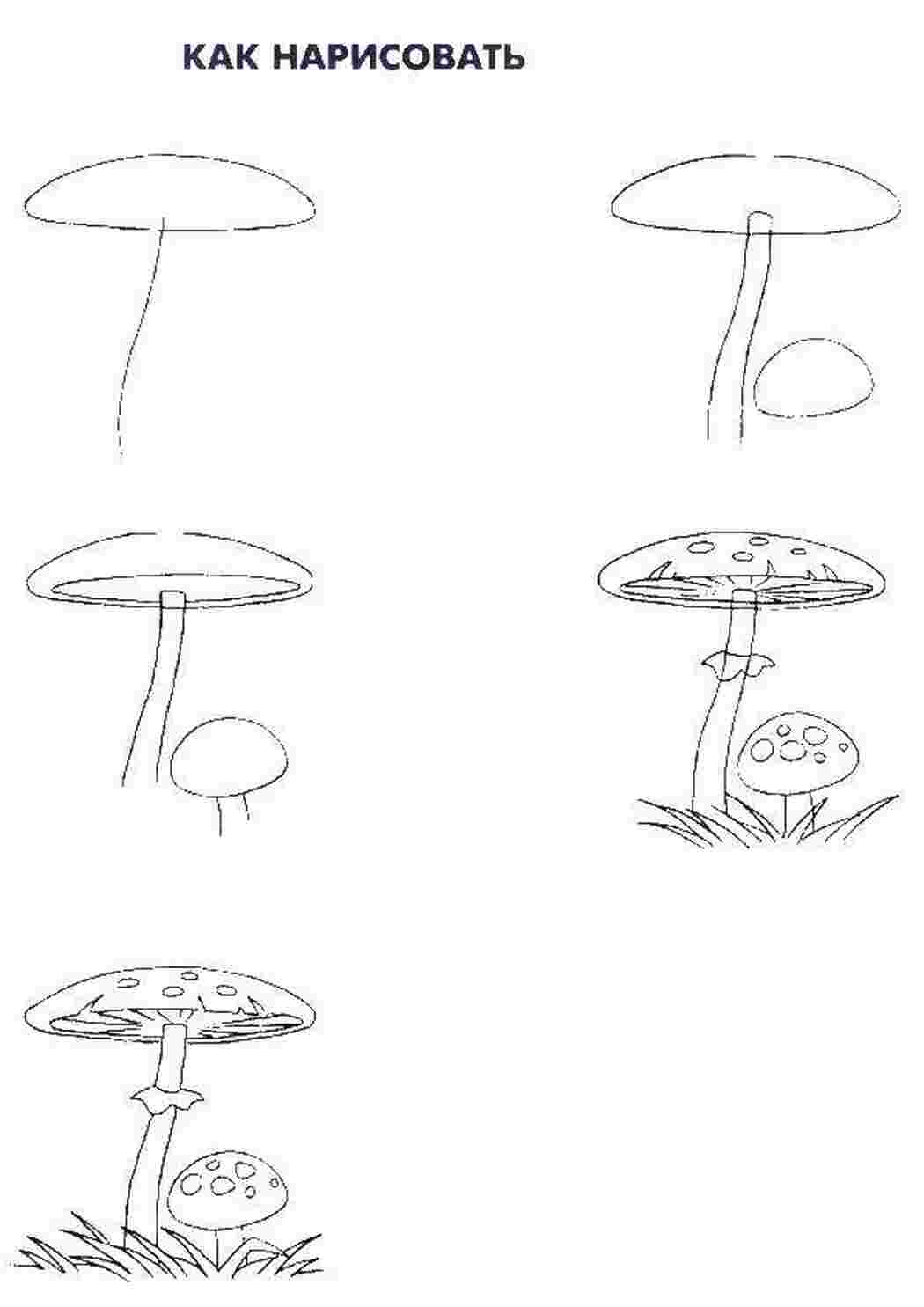 Грибы поэтапно. Поэтапное рисование гриба. Как нарисовать мухомор. Мухомор рисунок карандашом. Нарисовать мухомор карандашом поэтапно для детей.