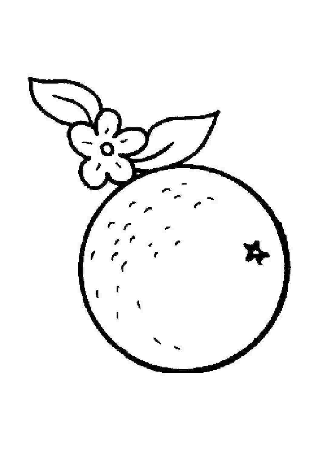 Раскраска Апельсин