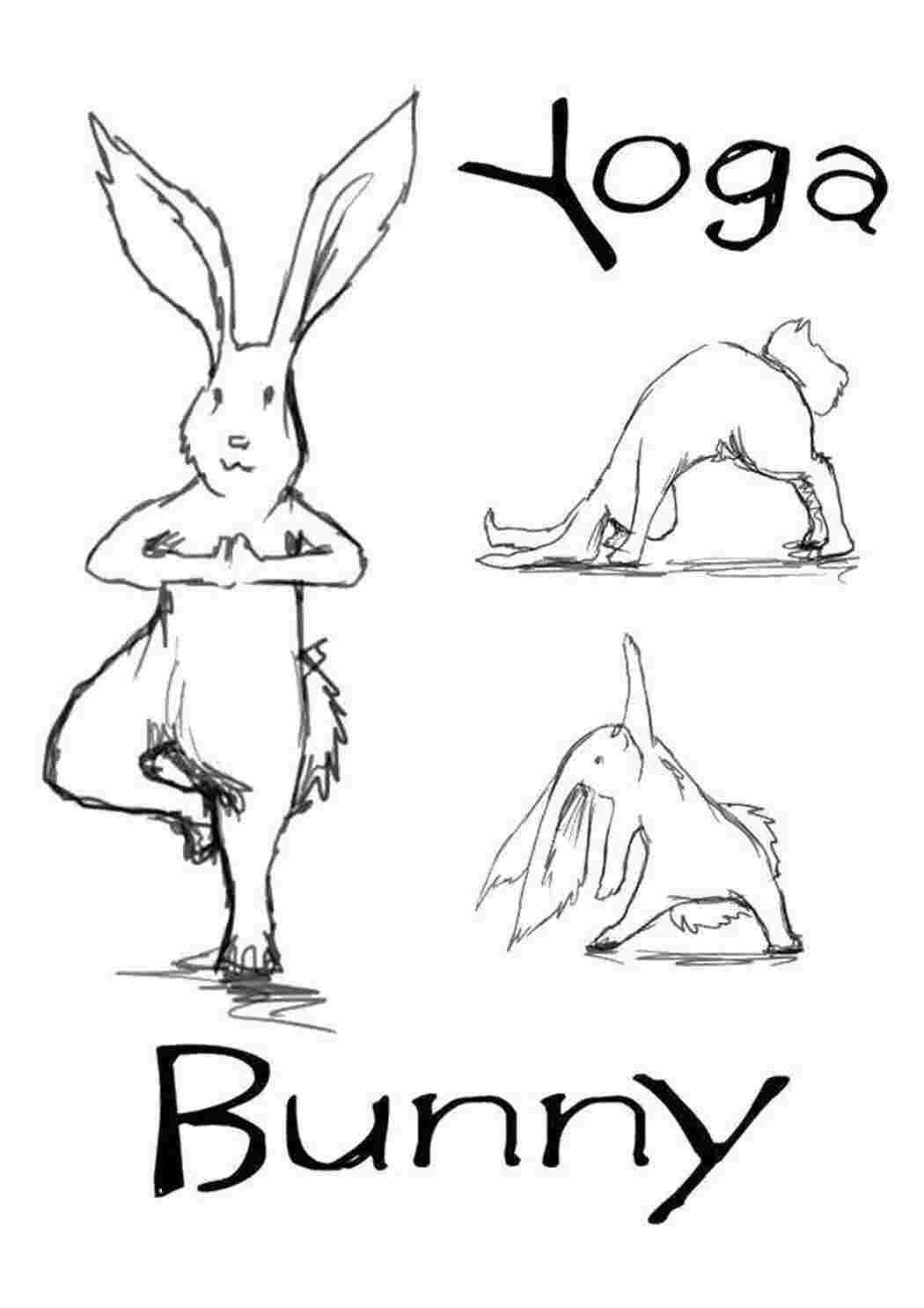 Раскраска Йога зайца