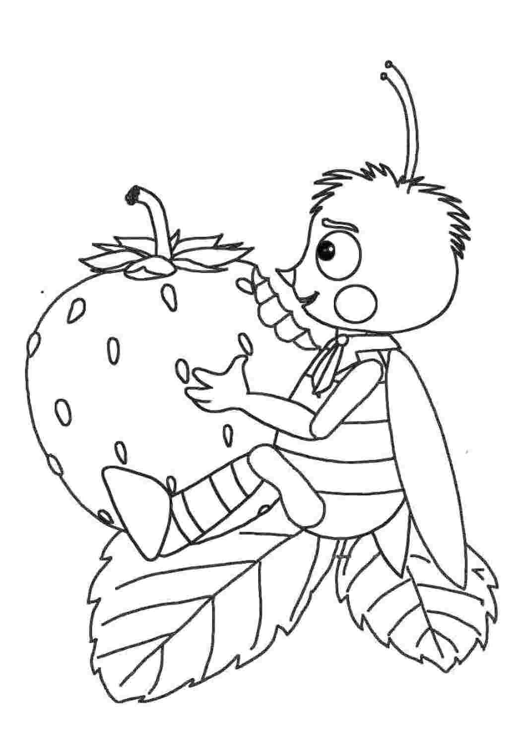 Раскраска Пчелёнок