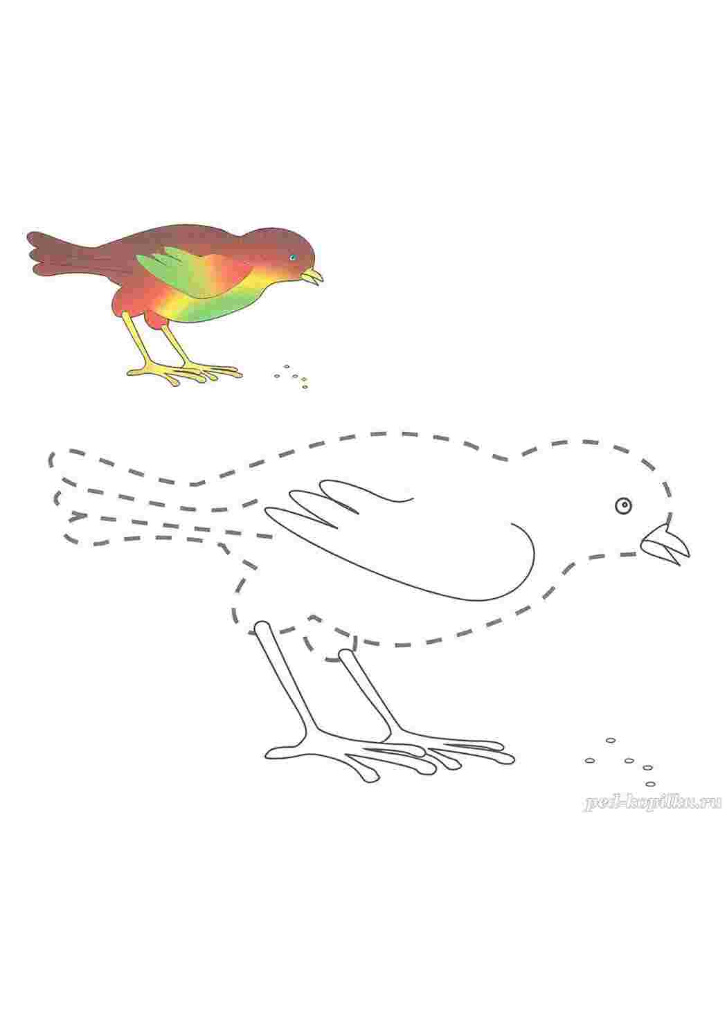 Обвести птицу по контуру. Обведи птицу по точкам. Обведи птицу по точкам. Пунктирные рисунки для детей. Обвести по точкам птицу.