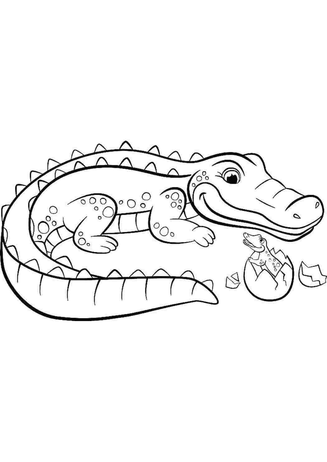 Крокодил картинка для детей раскраска