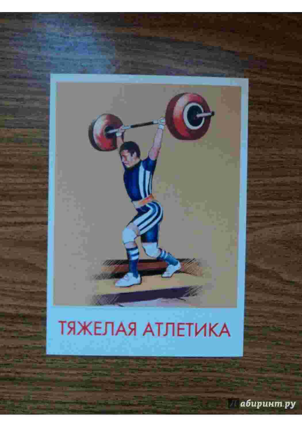 Раскраска ввиды спорта