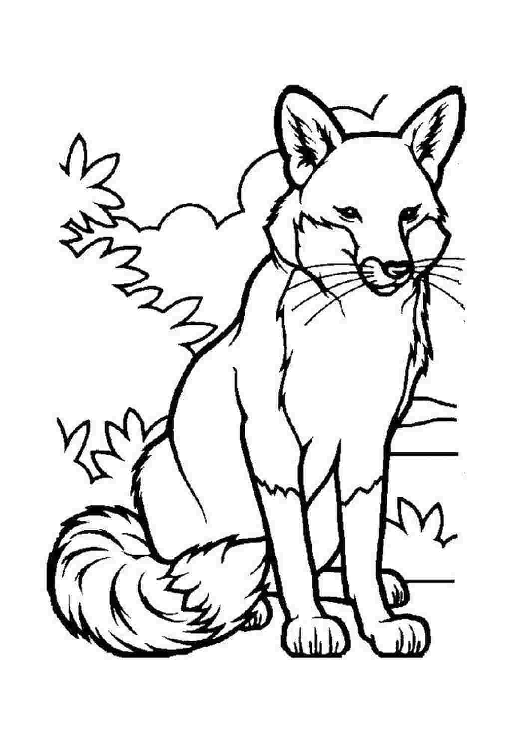 Раскраска Лисичка