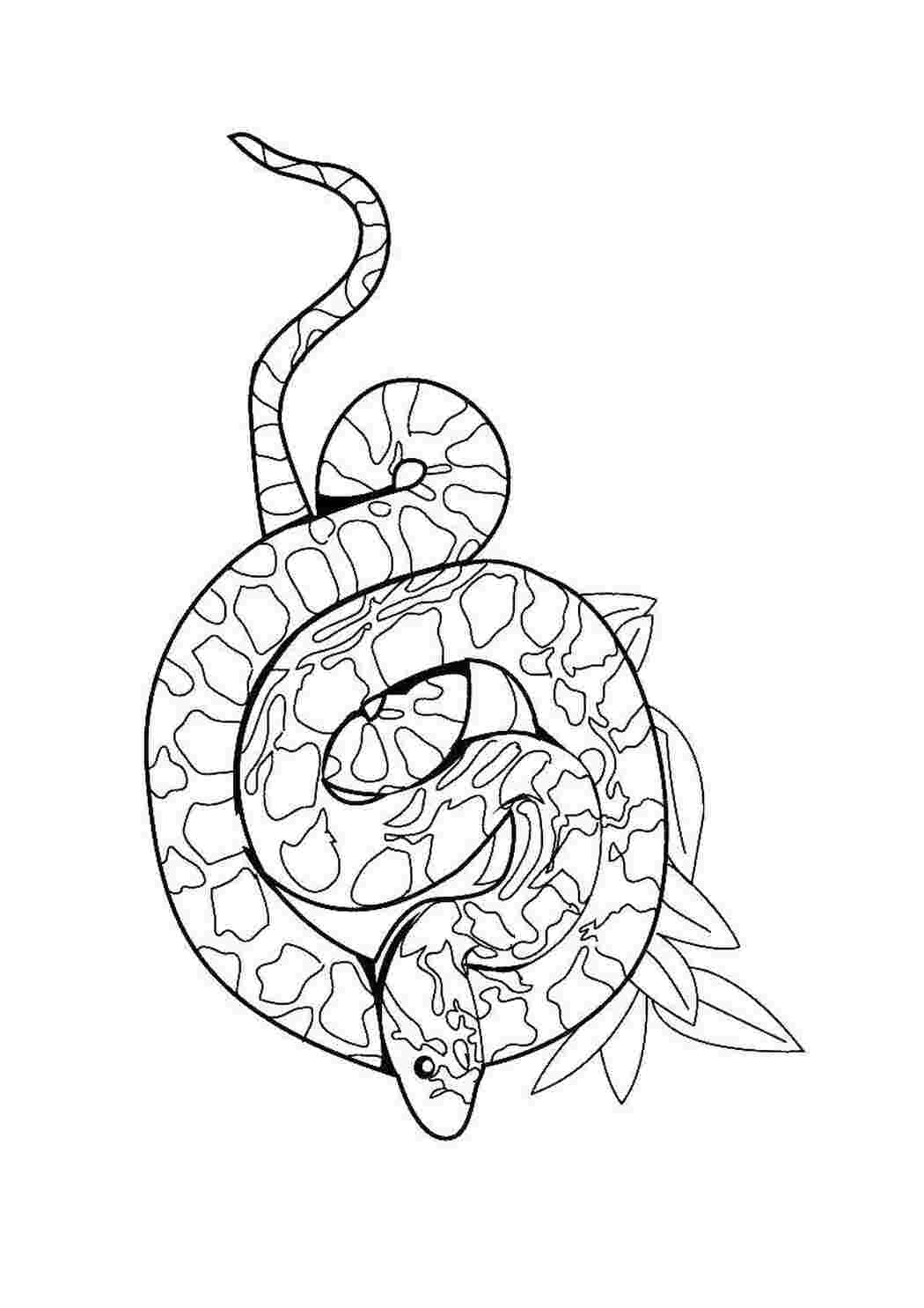 Раскраска Змея