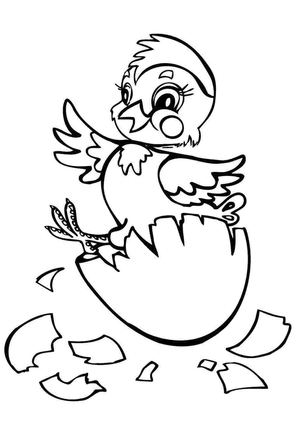 Раскраска Цыпленок вылупился