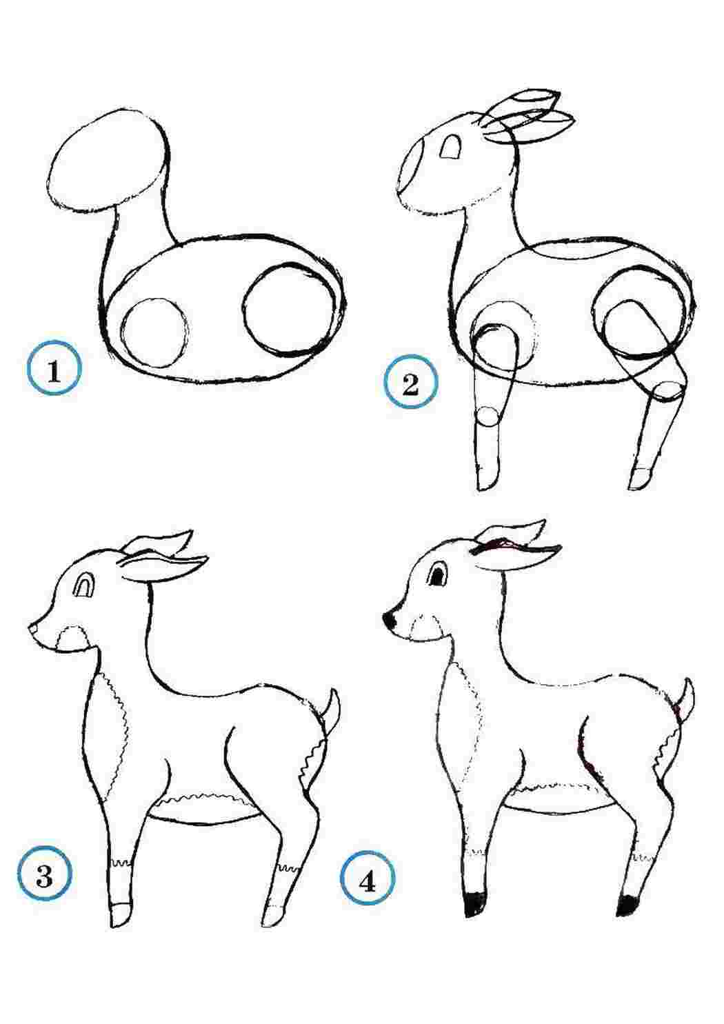Схематический рисунок зверей. Поэтапное рисование оленя для детей. Схемы рисования животных для детей. Схема рисования оленя для дошкольников. Схема поэтапного рисования животных для детей.