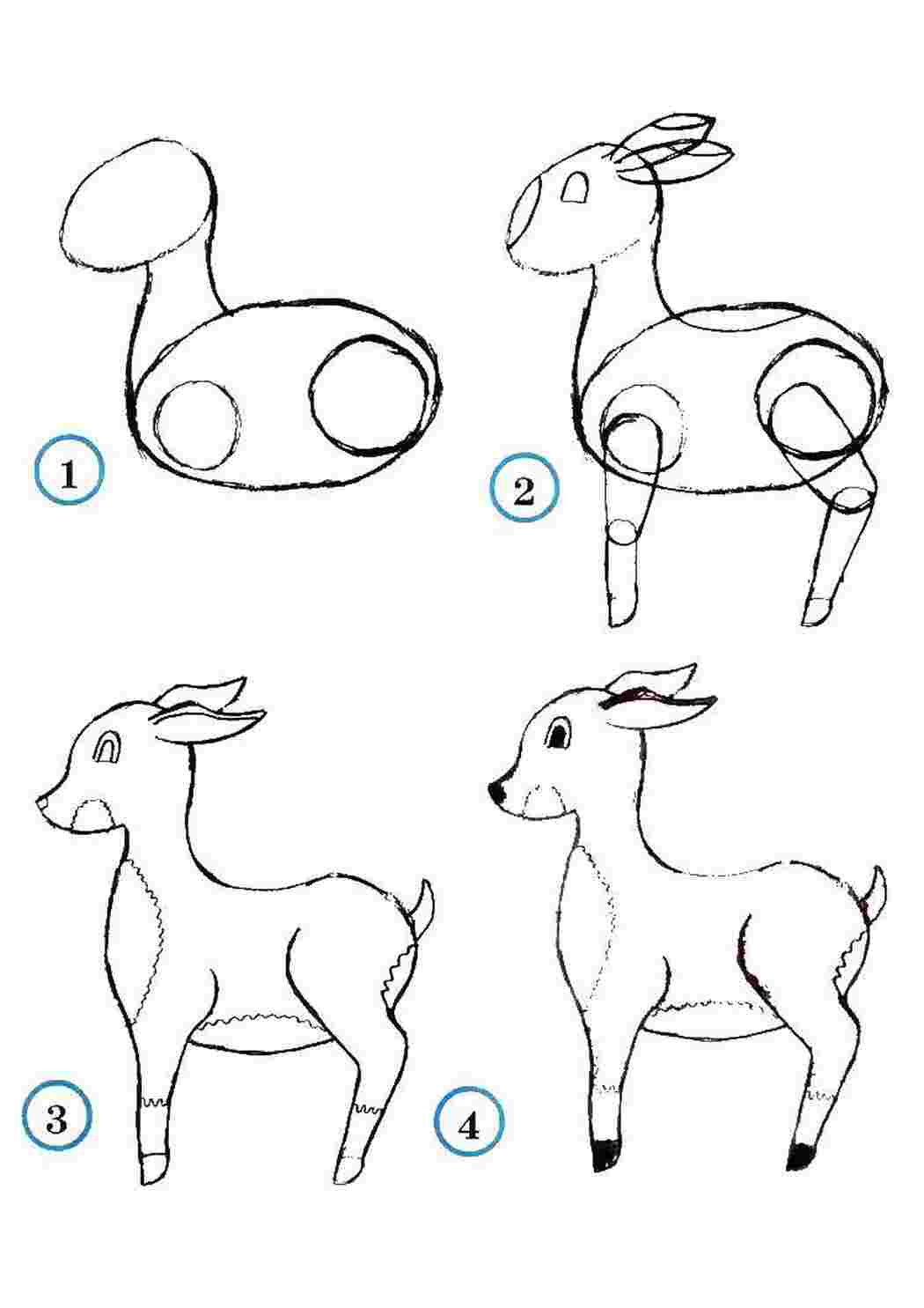 Схема рисования оленя для дошкольников