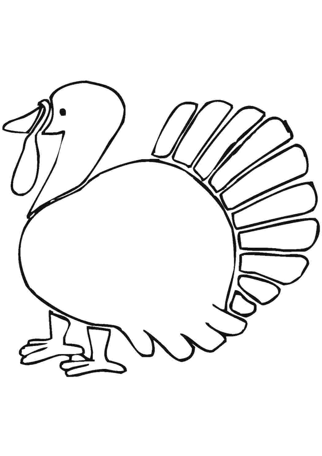 Раскраска Индюшка.