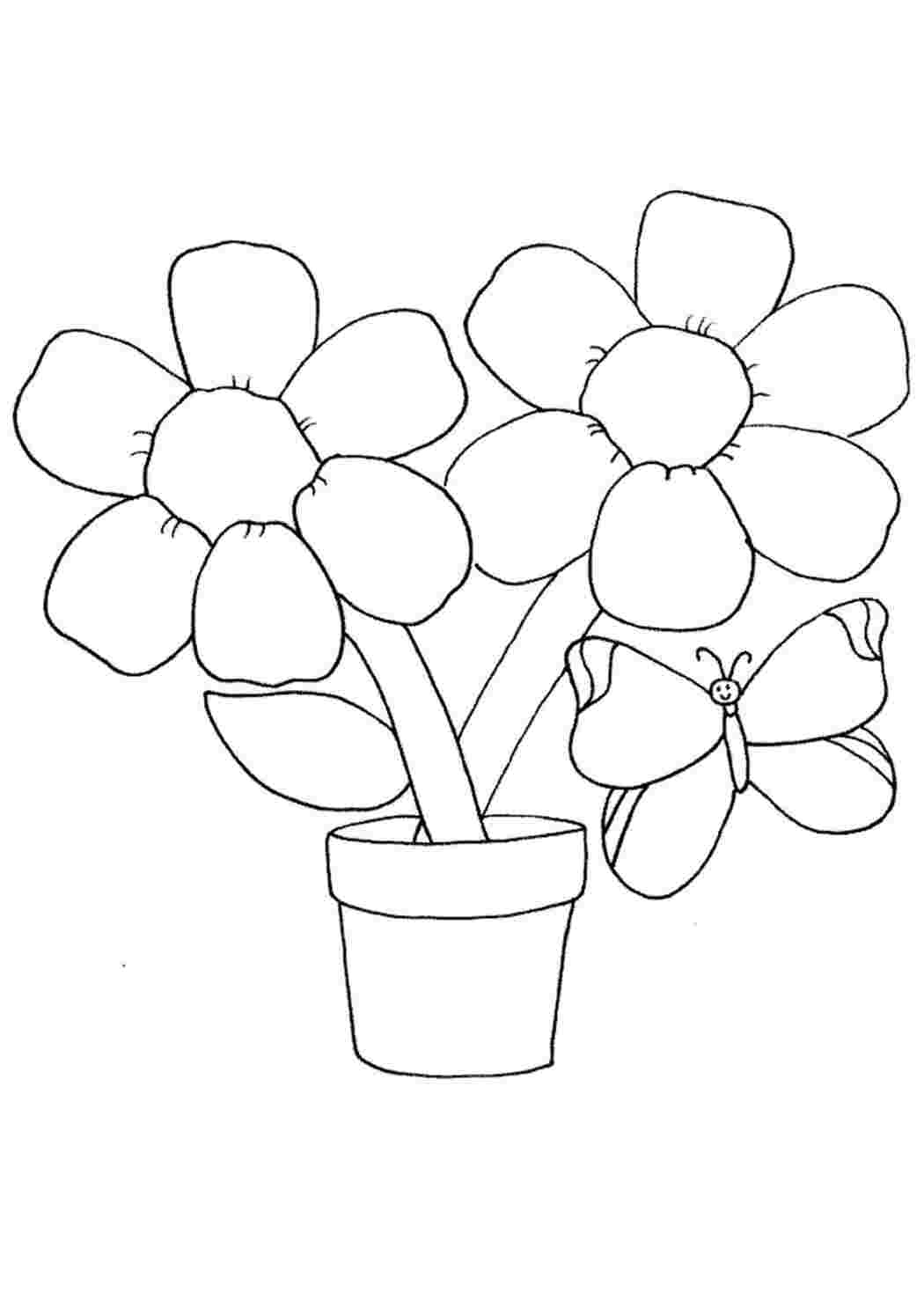 Раскраска Бабочка на цветах