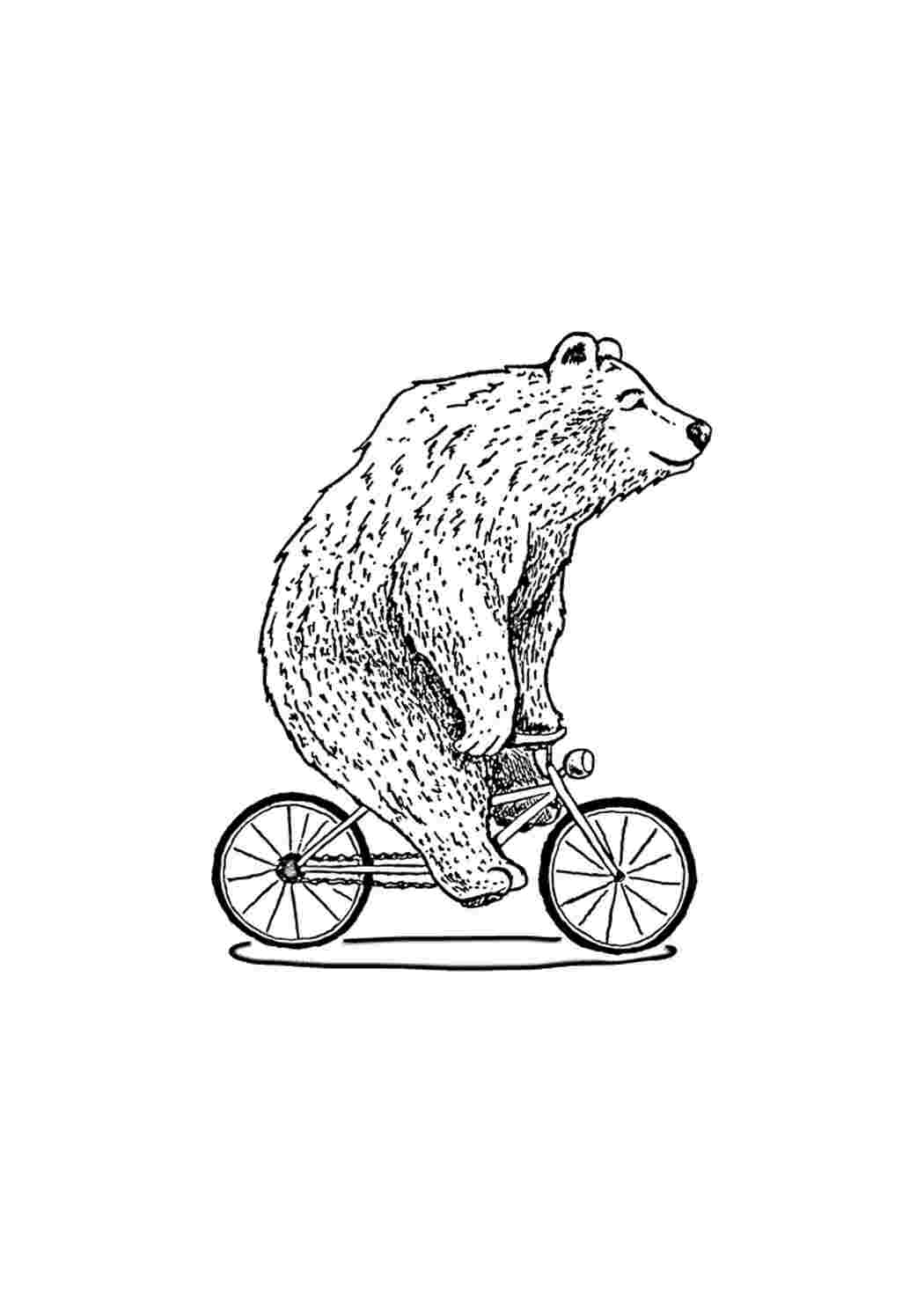 Медведи на велосипеде раскраска