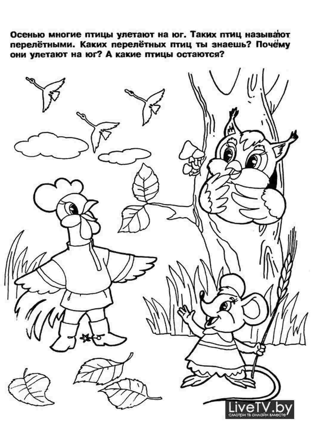 Раскраска Обучающая раскраска